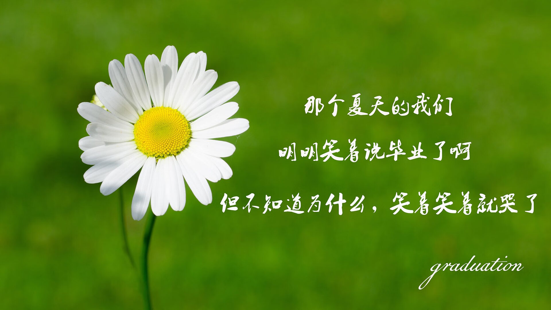 雷恩球员被曝私下交涉，或将受罚，雷恩球队图片