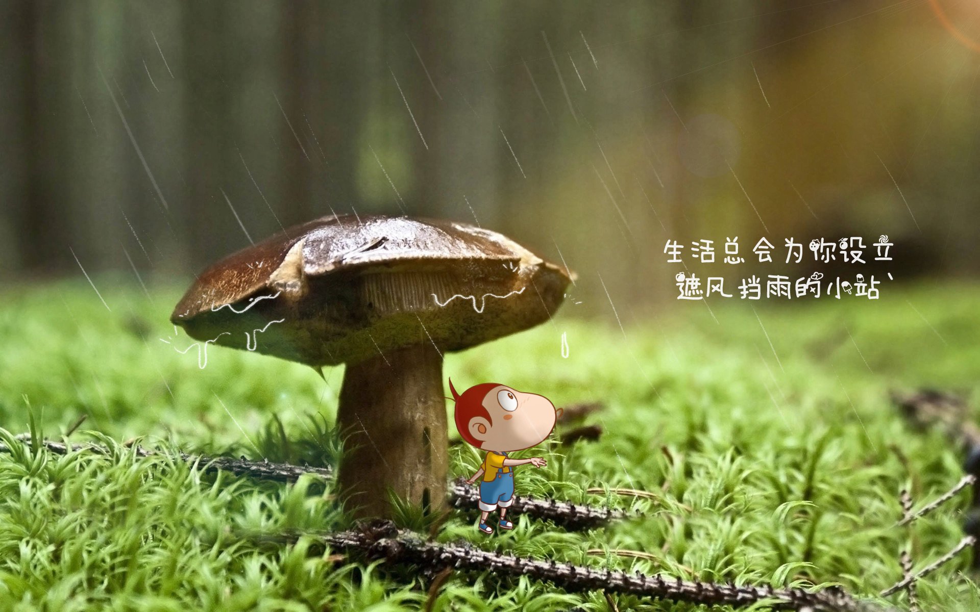 中国篮球教练员团队协作机制优化及沟通技巧研究，篮球队教练职责