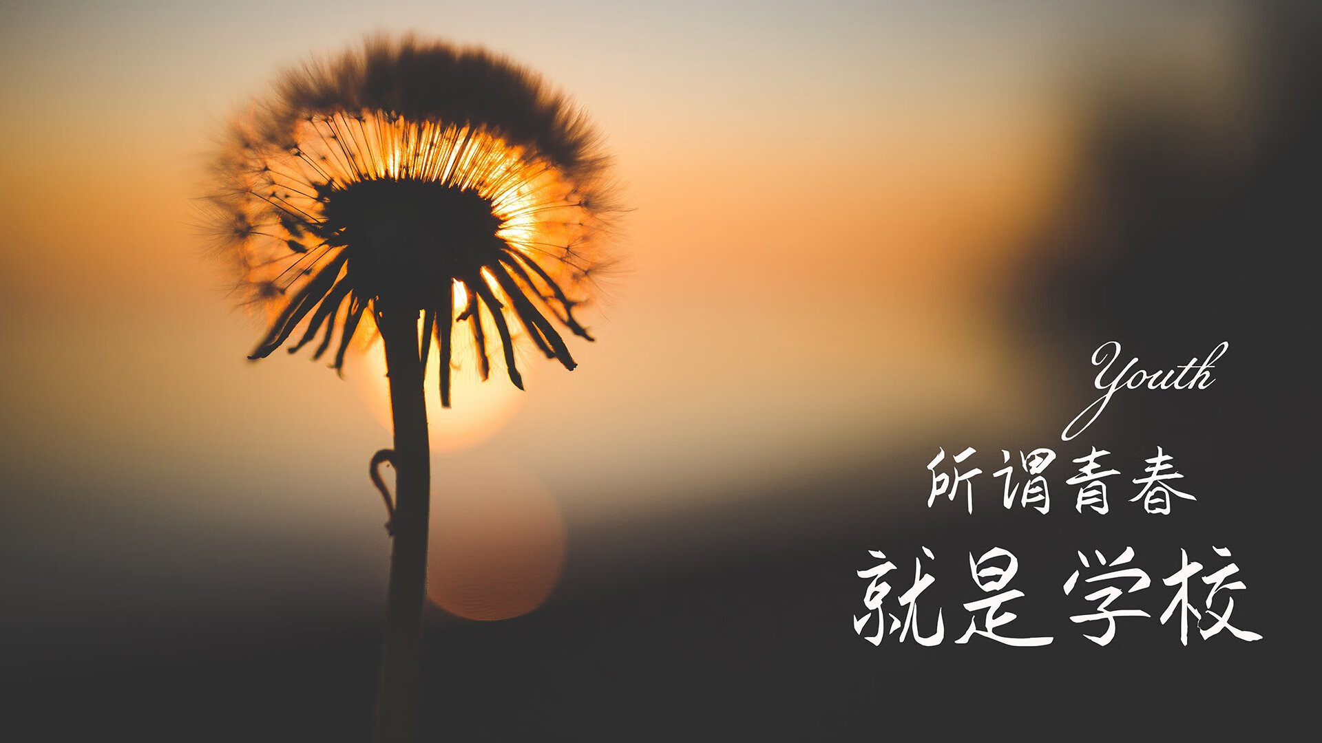 中国篮球联赛赛程安排优化策略研究，中国篮球联赛规则