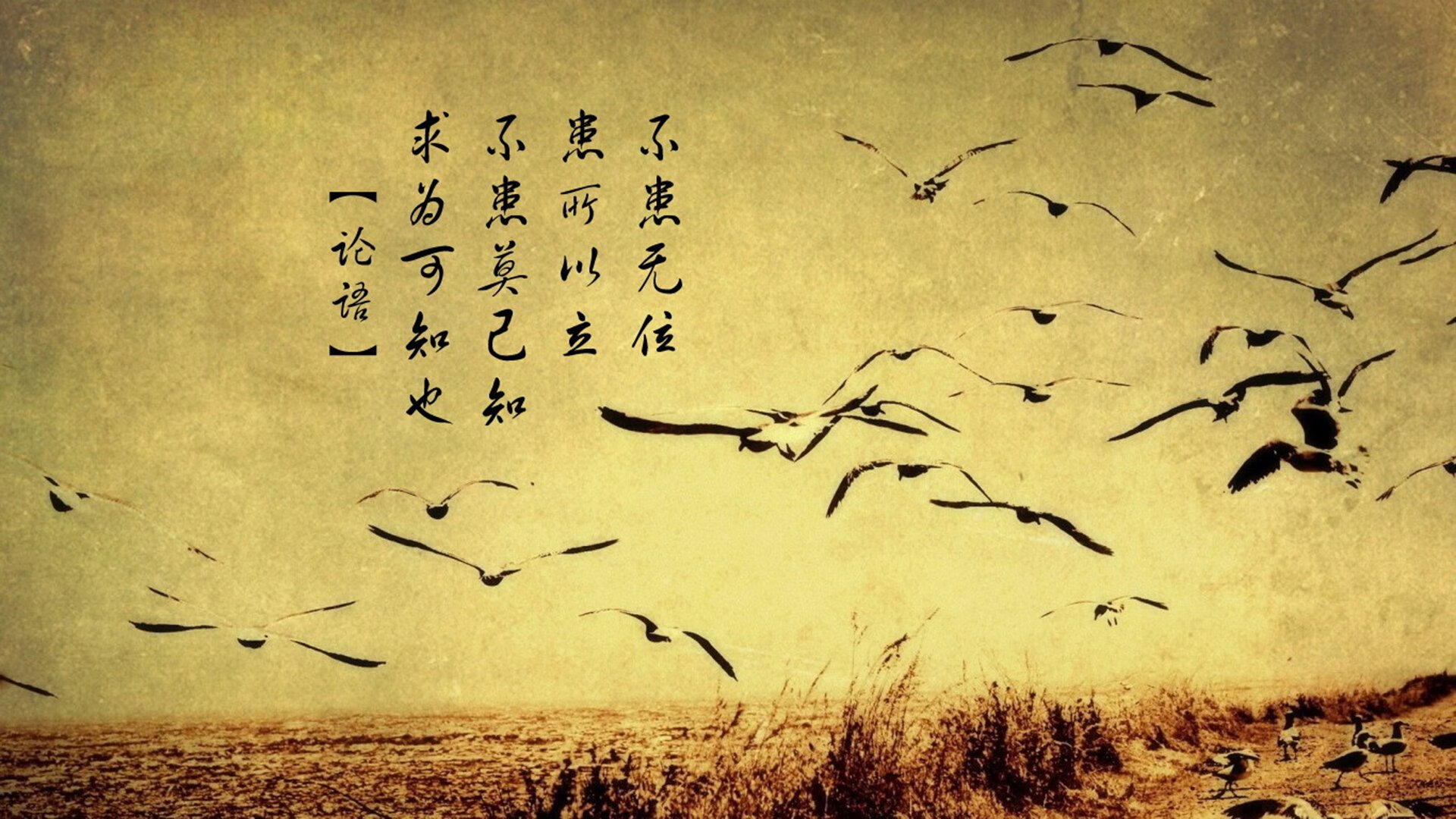 明星球员带货直播开启体育电商新模式，体育明星商业代言