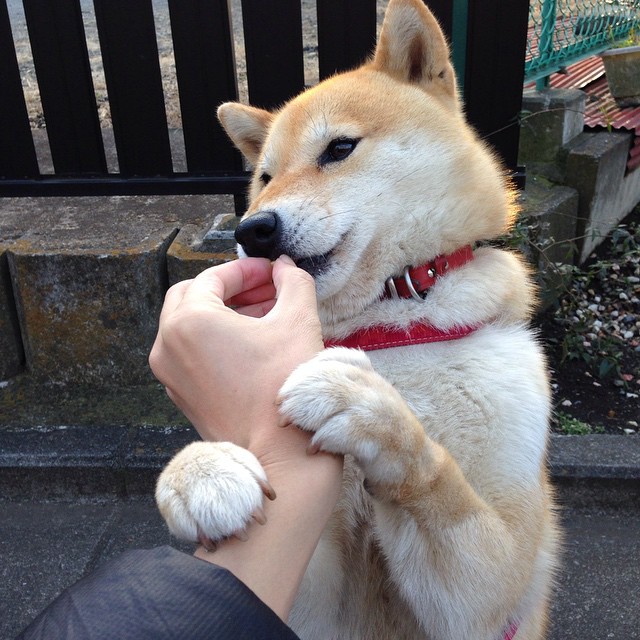 乌兰多冲线瞬间引全场沸腾，乌兰乌拉