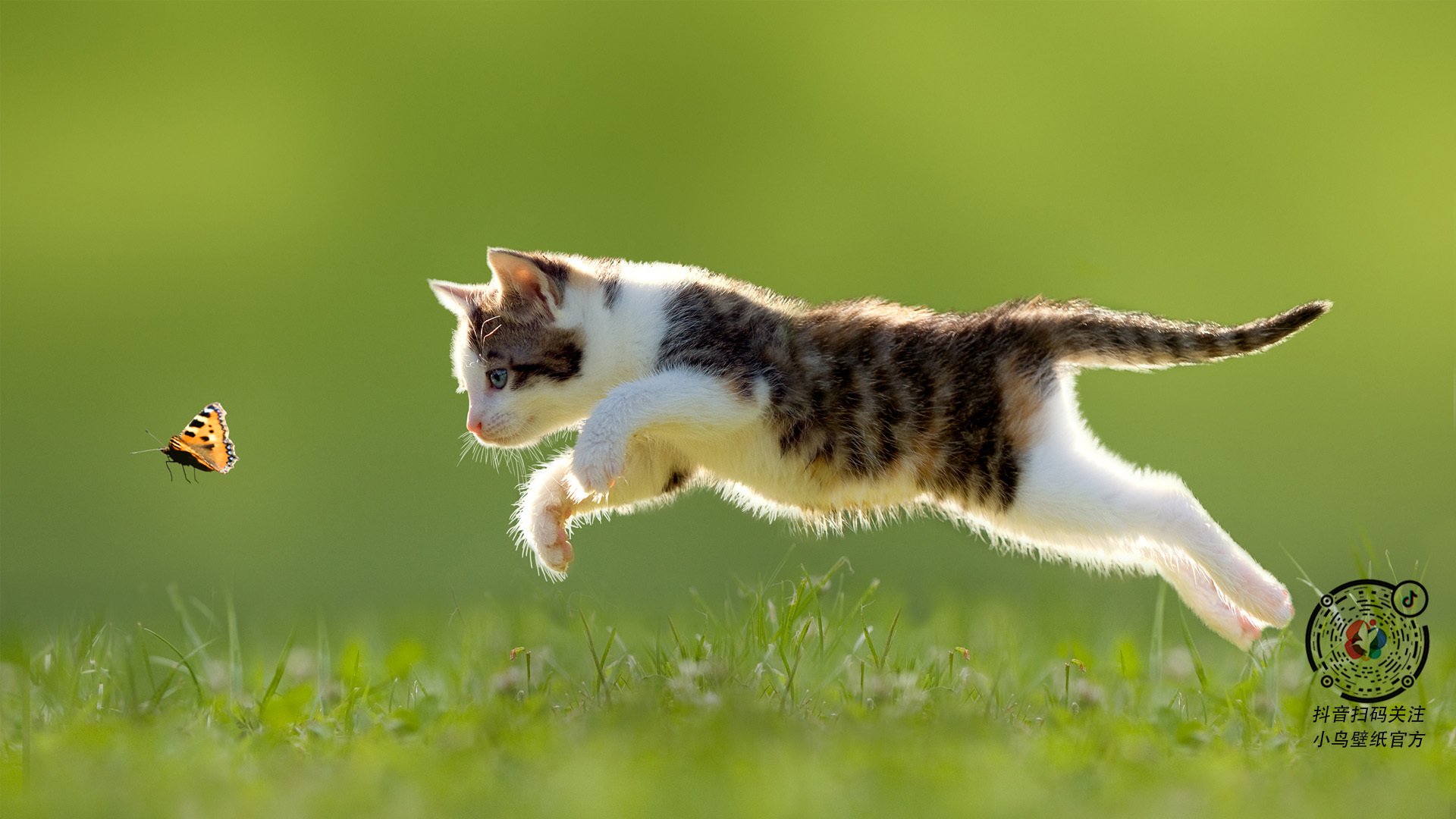 巴雷特：无论面对多强对手，他总能冷静决策引领全黑队反击，巴雷特百度百科