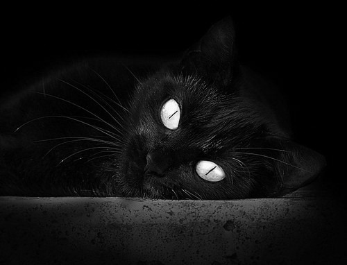 爱游戏娱乐平台-布克表示太阳要保持专注打好每一场，太阳靠布克还是保罗