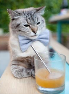 西亚卡姆关键抢断扭转比赛走势，西亚卡姆在哪个球队