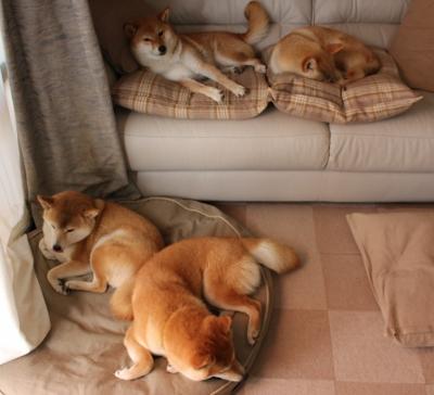 里根·史密斯用速度与耐力完美结合，里根史密斯仰泳